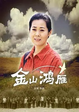 金山鸿雁海报