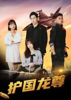 护国龙尊海报