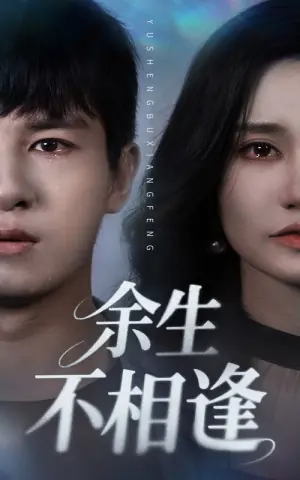 余生不相逢海报