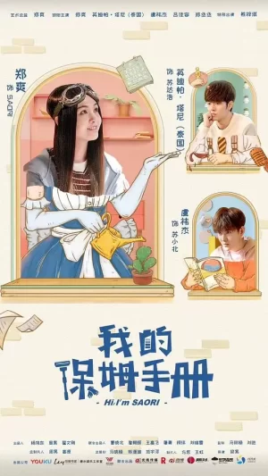 我的保姆手册海报