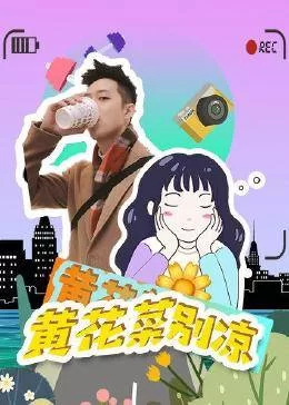 黄花菜别凉海报