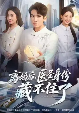 离婚后,医圣身份藏不住了海报