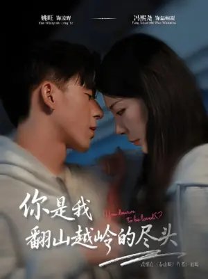 你是我翻山越岭的尽头海报