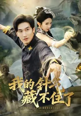 我的针气藏不住了海报