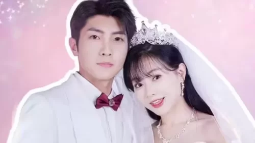 一胎双宝:总裁娶一送一!海报