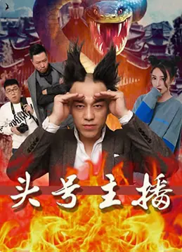 头号主播海报