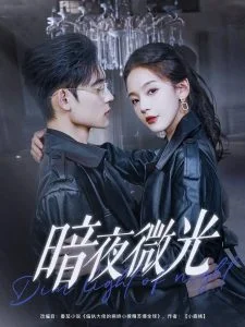暗夜微光海报