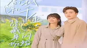 总裁和千金,隐藏身份闪婚了海报