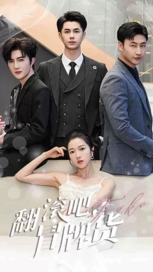 翻滚吧冒牌货海报