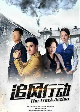 追风行动海报