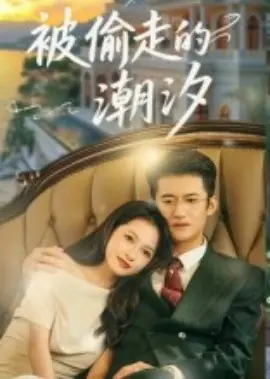 被偷走的潮汐海报