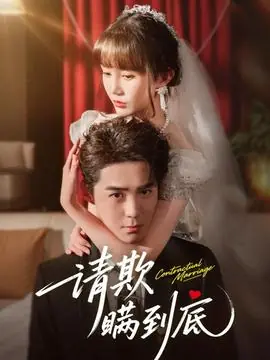 请欺瞒到底海报