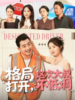 格局打开,这次大叔不低调海报