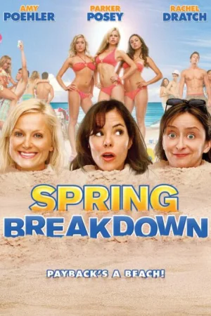 春假一团糟SpringBreakdown海报