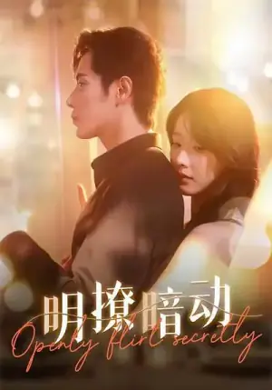 明撩暗动海报