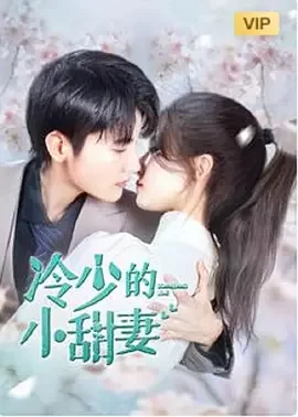 冷少的小甜妻海报