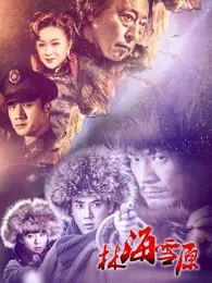 林海雪原海报