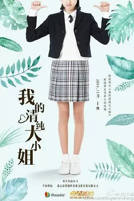 我的清纯大小姐海报