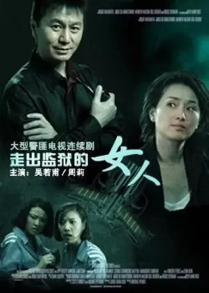 走出监狱的女人DVD版海报
