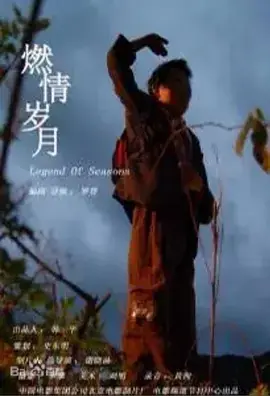 燃情岁月海报