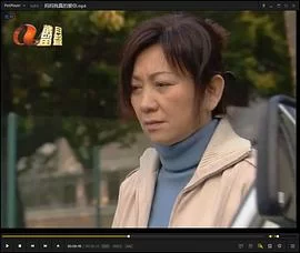 妈妈我真的爱你(粤语)海报