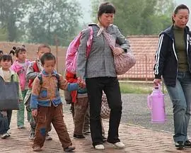 母亲别无选择海报