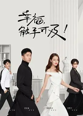 幸福,触手可及![DVD版]海报