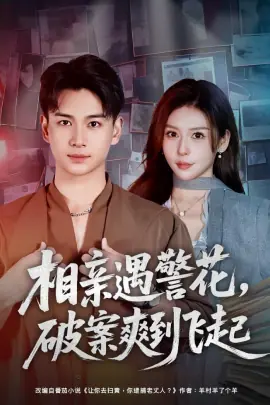 相亲遇警花,破案爽到飞起海报