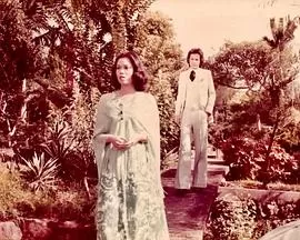 片断(粤语)海报