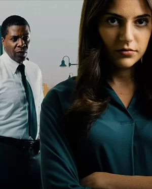 谋杀我母亲的阴谋海报