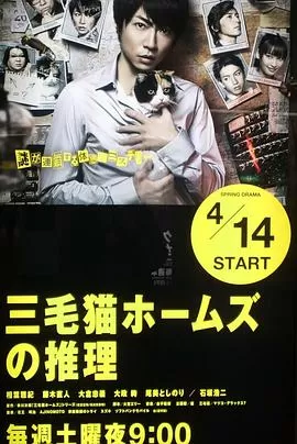 三花猫福尔摩斯的推理海报