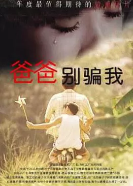 爸爸,你别骗我海报