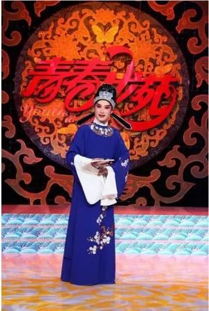 青春戏苑2017海报