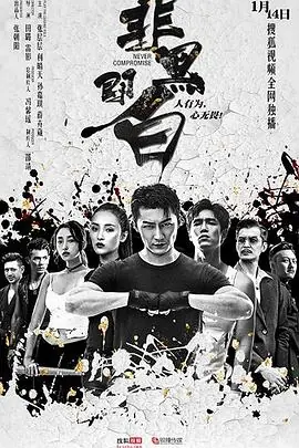 非黑即白海报