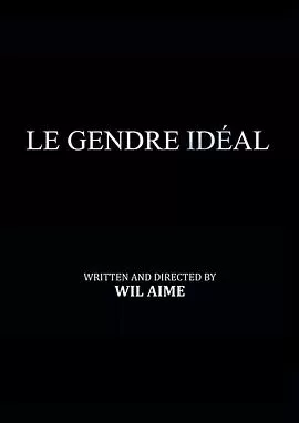 完美女婿[电影解说]海报