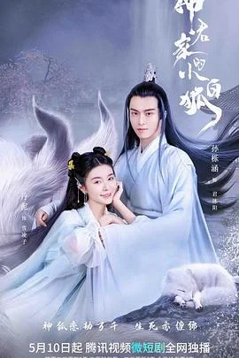 小白狐追夫记海报