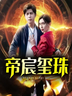 帝宸玺珠海报