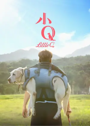 小Q(粤语)海报