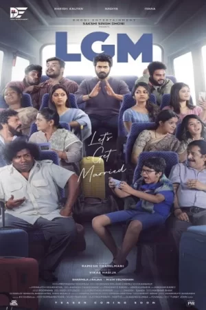 我们结婚吧海报