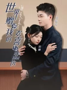 世界赠予我的欢喜与悲伤海报