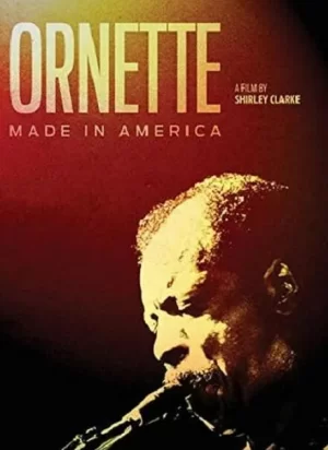 奥内特:美国制造海报