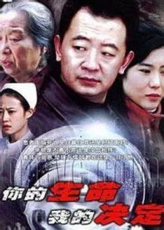 你的生命我的决定海报