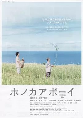 夏威夷男孩海报