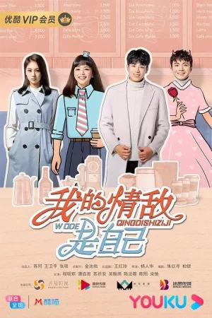 我的情敌是自己海报