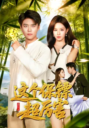 这个保镖超厉害海报