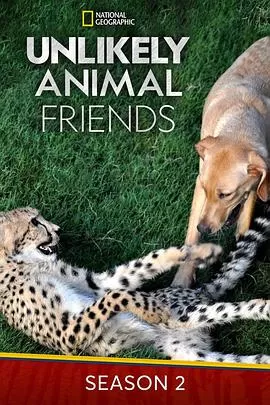 不可思议的好朋友第二季海报