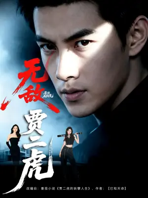 无敌贾二虎海报