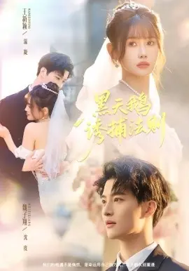 黑天鹅诱捕法册海报