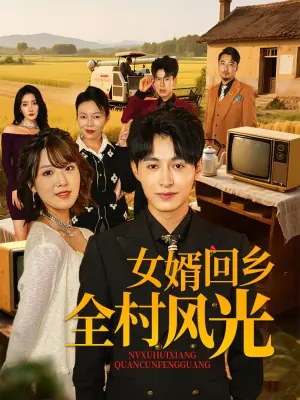 女婿回乡全村风光海报