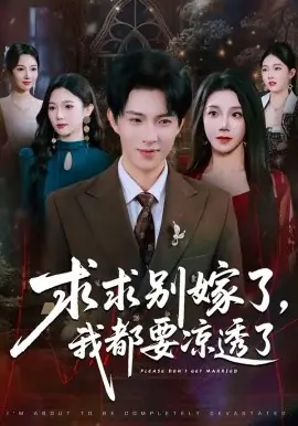 求别嫁了,我都要凉透了海报